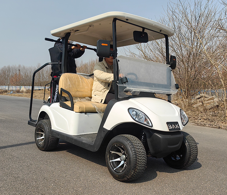 https://www.bak-ev.com/wp-content/uploads/2024/08/A-C2-Golf-Cart-Front-Side-View3.jpg