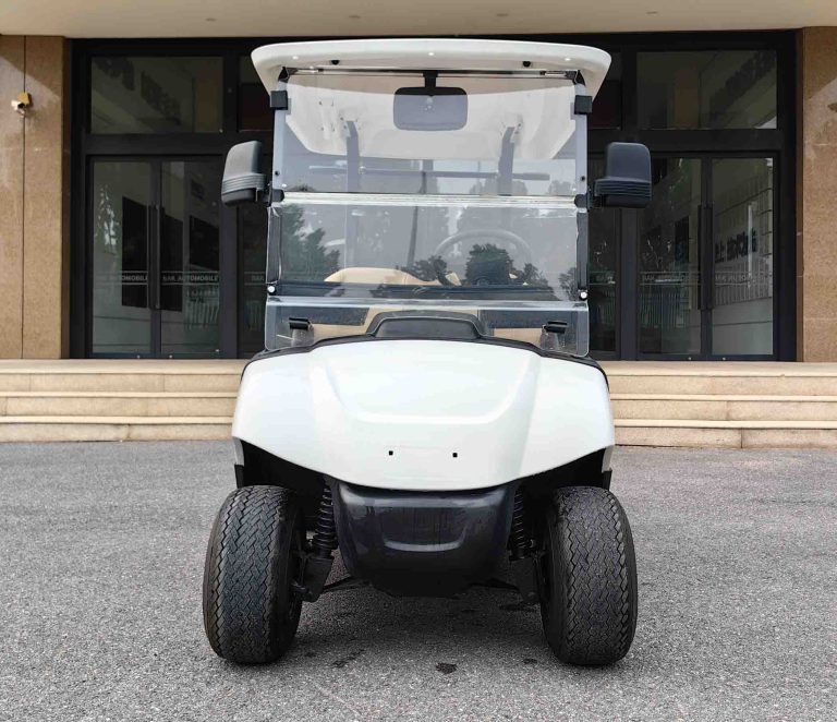 https://www.bak-ev.com/wp-content/uploads/2024/08/A-C2-Golf-Cart-Front-View.jpg