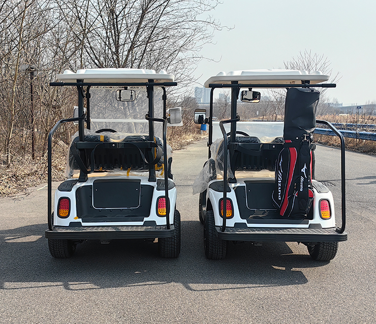 https://www.bak-ev.com/wp-content/uploads/2024/08/A-C2-Golf-Cart-Rear-View-1.jpg