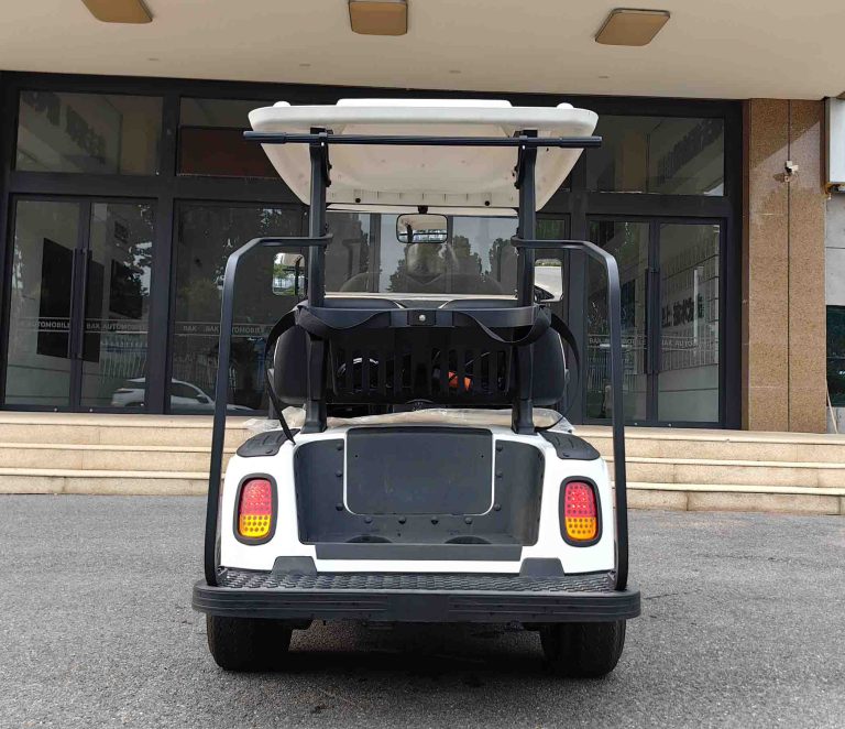 https://www.bak-ev.com/wp-content/uploads/2024/08/A-C2-Golf-Cart-Rear-View.jpg