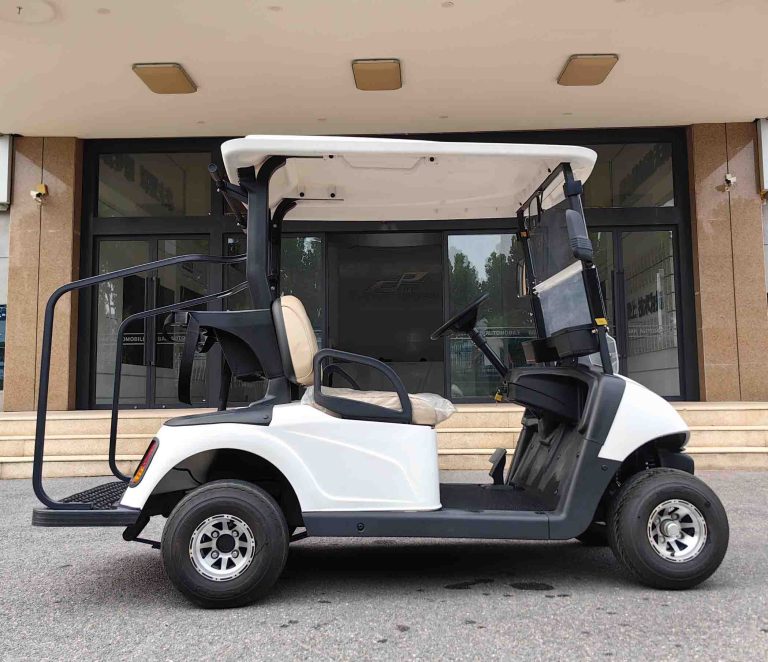 https://www.bak-ev.com/wp-content/uploads/2024/08/A-C2-Golf-Cart-Side-View.jpg