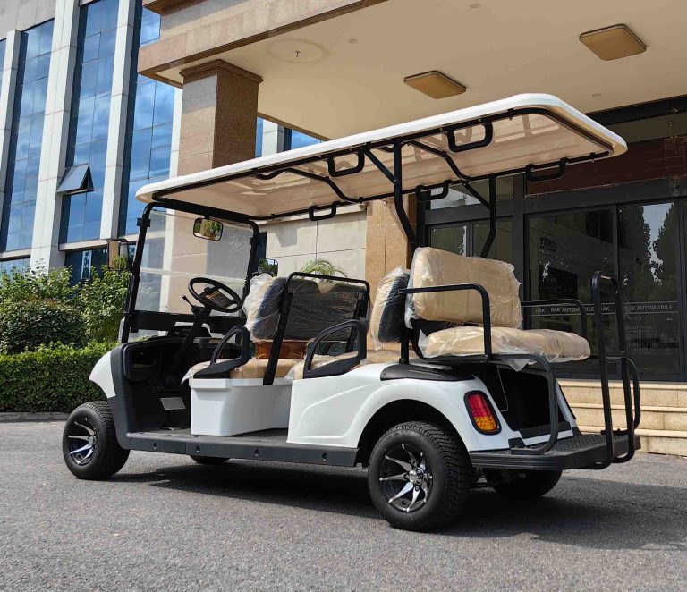 https://www.bak-ev.com/wp-content/uploads/2024/08/A-C42-Golf-Cart-Rear-Side-View.jpg