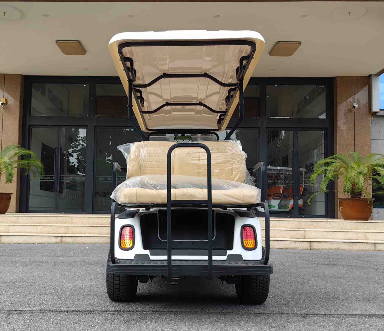 https://www.bak-ev.com/wp-content/uploads/2024/08/A-C42-Golf-Cart-Rear-View.jpg