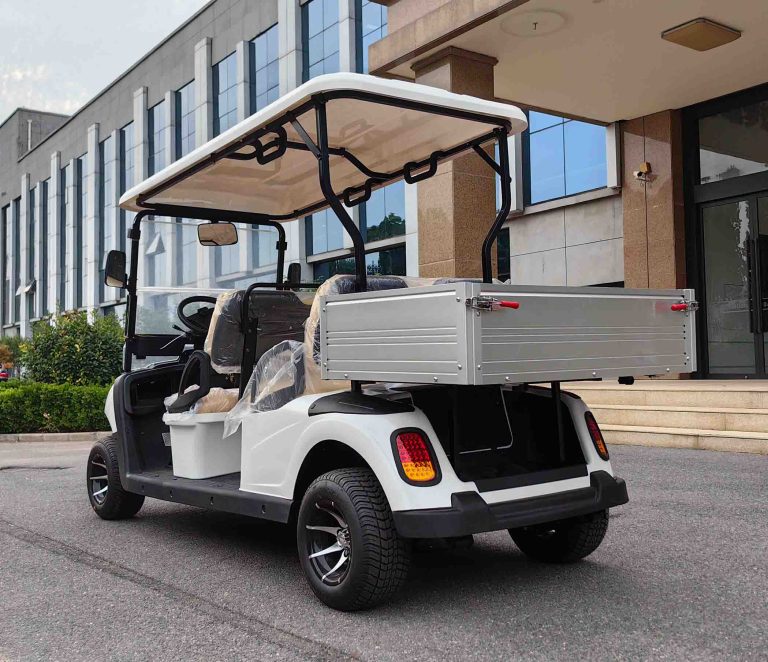 https://www.bak-ev.com/wp-content/uploads/2024/08/A-C4P-Golf-Cart-Rear-Side-View.jpg