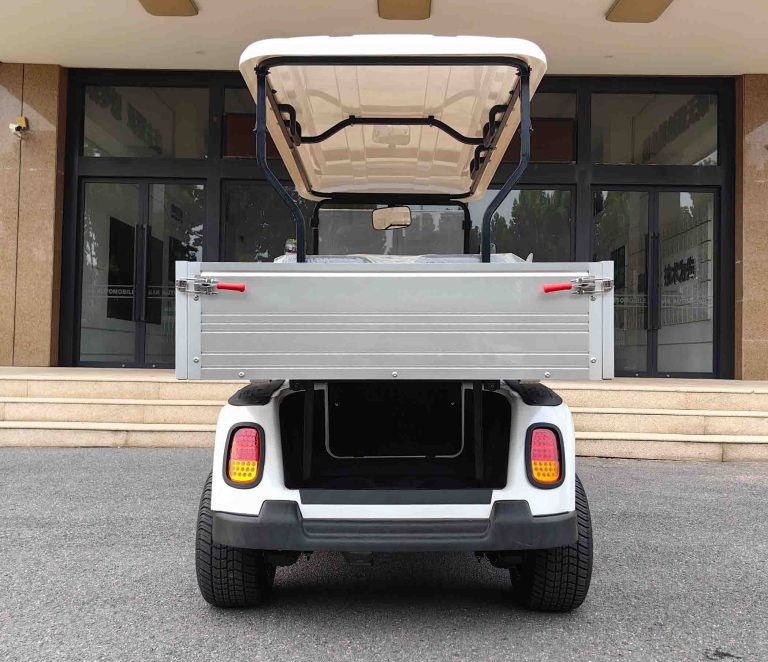 https://www.bak-ev.com/wp-content/uploads/2024/08/A-C4P-Golf-Cart-Rear-View.jpg