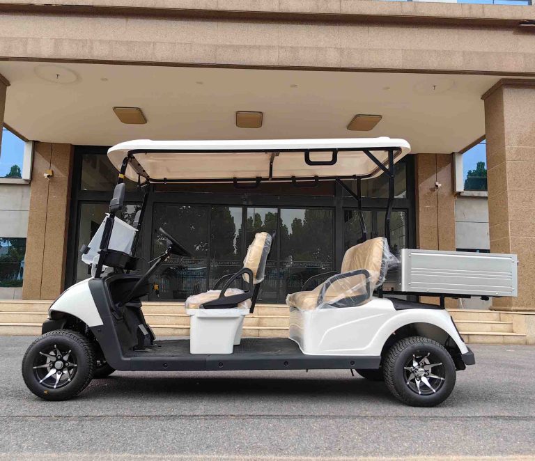 https://www.bak-ev.com/wp-content/uploads/2024/08/A-C4P-Golf-Cart-Side-View.jpg