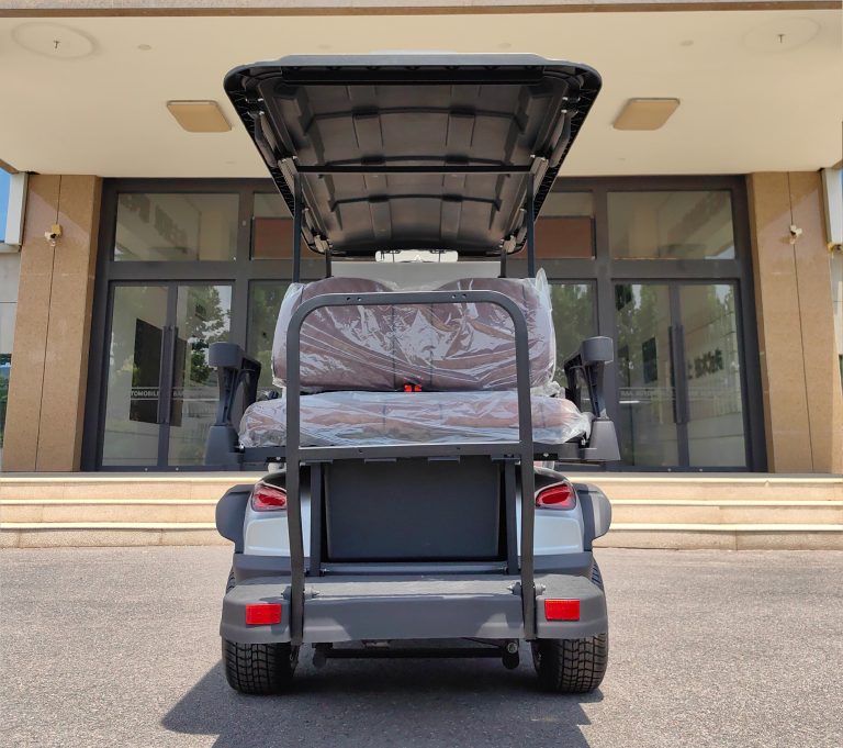 https://www.bak-ev.com/wp-content/uploads/2024/08/G-C22-Golf-Cart-Rear-View.jpg