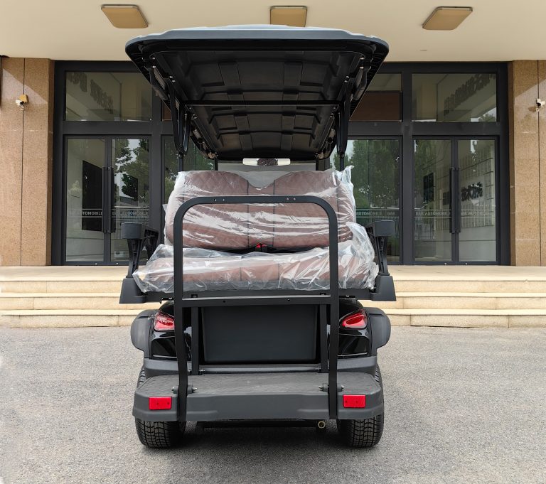 https://www.bak-ev.com/wp-content/uploads/2024/08/G-C42-Golf-Cart-Rear-View.jpg