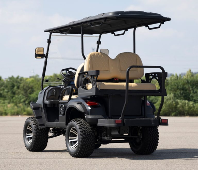 https://www.bak-ev.com/wp-content/uploads/2024/08/G-H22-Golf-Cart-Rear-Side-View-1.jpg