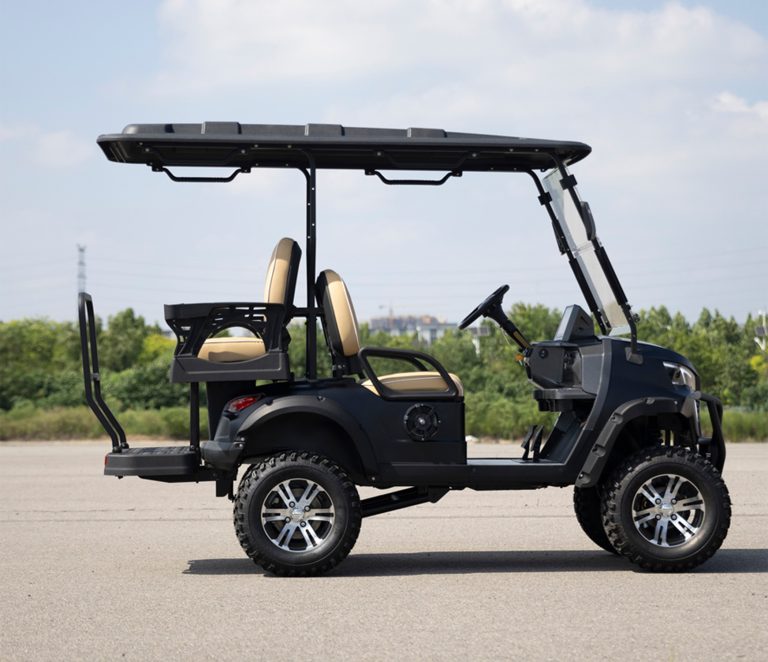 https://www.bak-ev.com/wp-content/uploads/2024/08/G-H22-Golf-Cart-Side-View-1.jpg