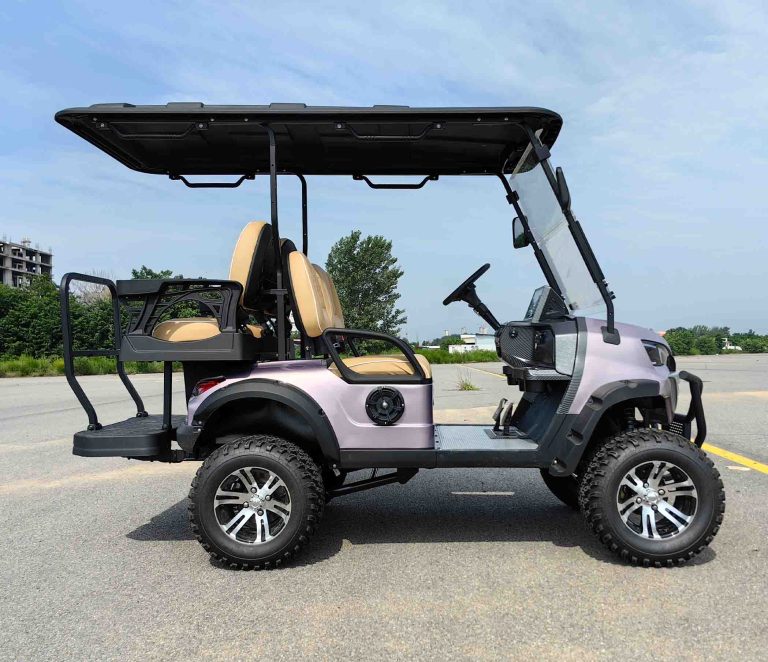 https://www.bak-ev.com/wp-content/uploads/2024/08/K1-H22-Golf-Cart-Side-View.jpg