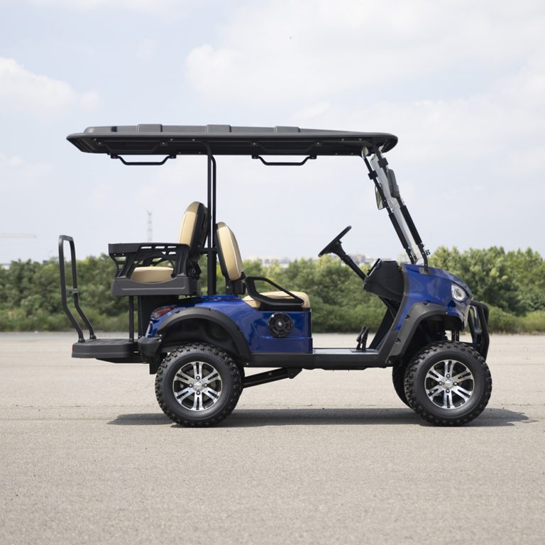 https://www.bak-ev.com/wp-content/uploads/2024/08/R-H22-Golf-Cart-Side-View.jpg