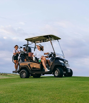 Golf Course Vehicle picture