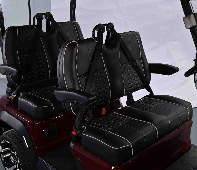 https://www.bak-ev.com/wp-content/uploads/2024/09/Z-H4-Golf-Cart-Detail-View-seats.jpg