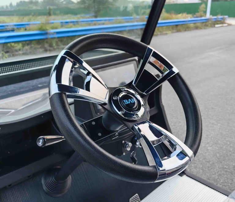 https://www.bak-ev.com/wp-content/uploads/2024/10/R-H2P-Golf-Cart-Detail-View-Steering-wheel-style-change.jpg