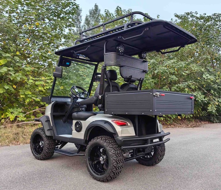 https://www.bak-ev.com/wp-content/uploads/2024/10/R-H2P-Golf-Cart-Rear-Side-View-2.jpg