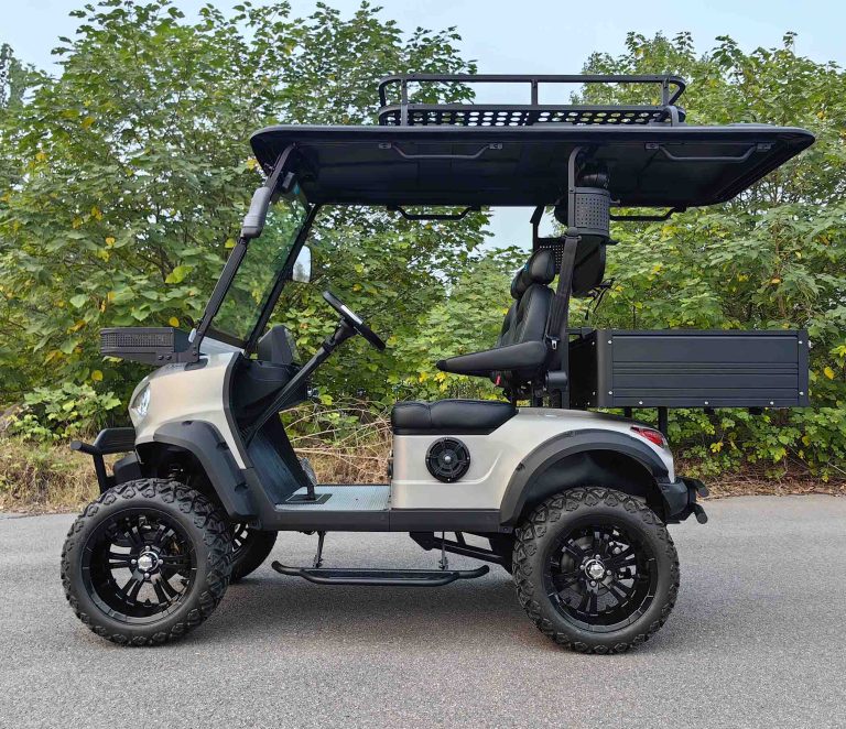 https://www.bak-ev.com/wp-content/uploads/2024/10/R-H2P-Golf-Cart-Side-View.jpg