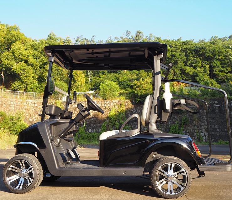 https://www.bak-ev.com/wp-content/uploads/2024/11/A-C2-Golf-Cart-Side-View-black.jpg