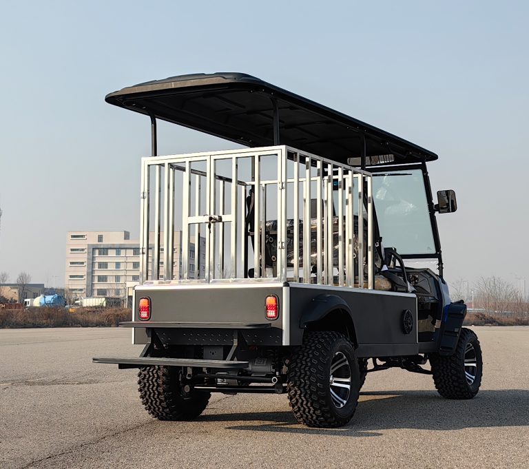 https://www.bak-ev.com/wp-content/uploads/2024/12/Golf-Cart-Dog-Golf-Cart-Rear-Side-View-1.jpg