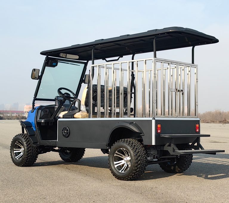 https://www.bak-ev.com/wp-content/uploads/2024/12/Golf-Cart-Dog-Golf-Cart-Rear-Side-View-2.jpg